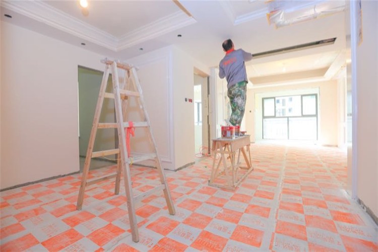 從記者到公司老總-專訪家裝先生總經(jīng)理段寧