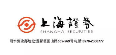 上海證券麗水營業部開業盛典，投資控股引領財富未來